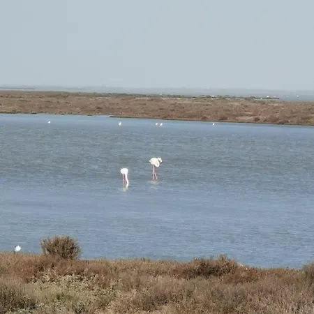 Appartement La Parenthese *