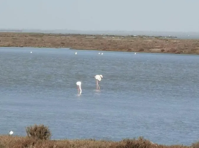 Daire La Parenthese *